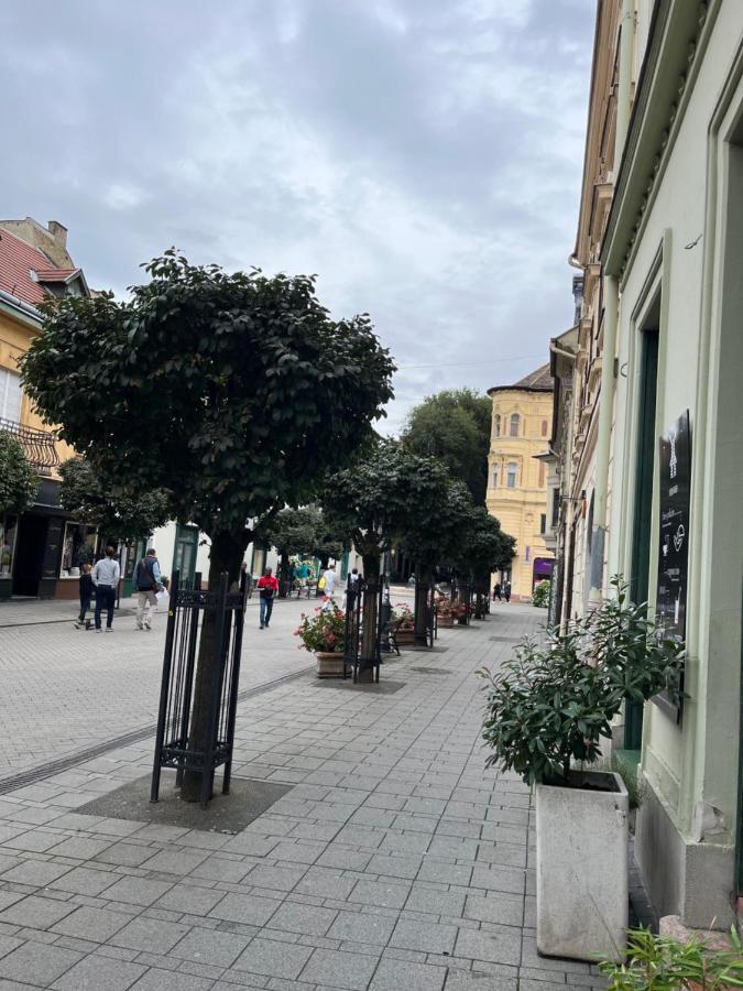 Wiener Garden Дьёр Экстерьер фото