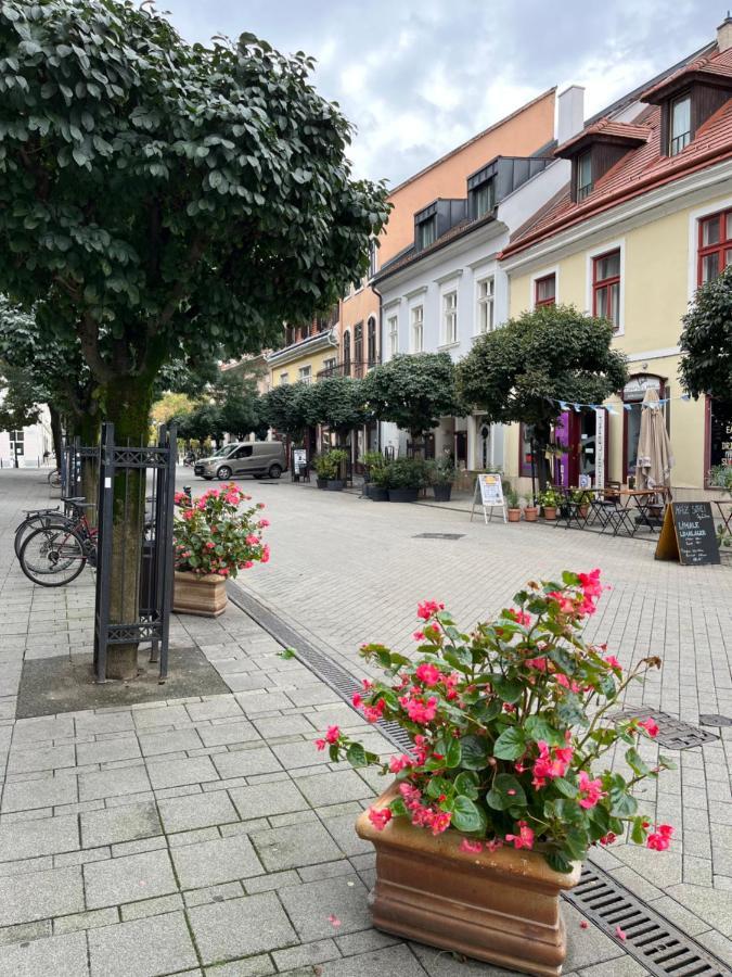 Wiener Garden Дьёр Экстерьер фото